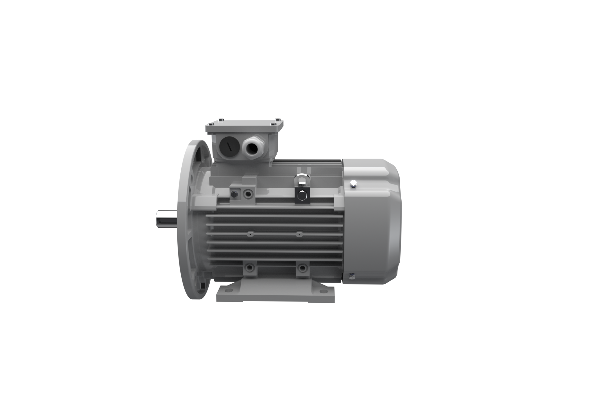 Three-Phase-Asynchronous-Motor FCPA 100 LC 6 /PHE