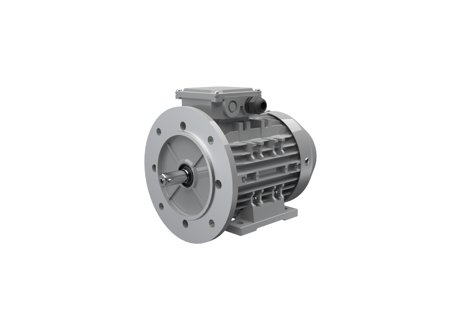 Three-Phase-Asynchronous-Motor ACM 100 L 2 /SPE