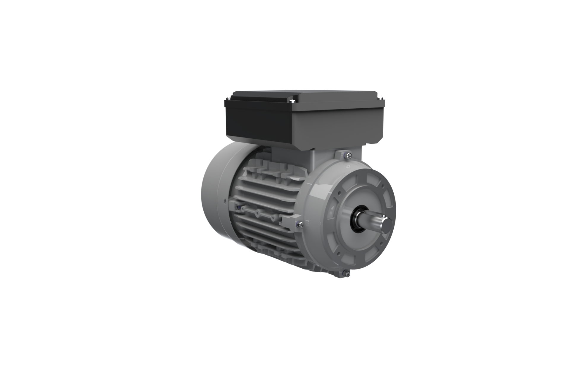 Single-phase motor FBS 90 L 4 /HT